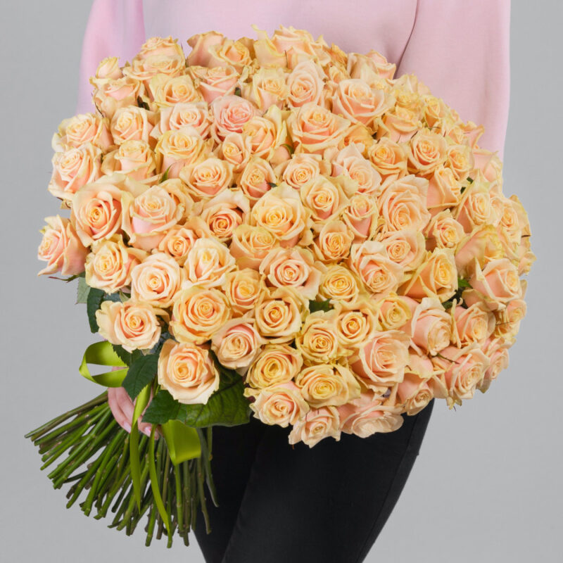 101 Кремовая Роза